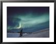 A Brilliant Display Of Aurorae by Paul Nicklen Limited Edition Print