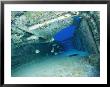 Fish Swimming In Shipwreck, Tortola Island, Virgin Islands by Joe Stancampiano Limited Edition Print