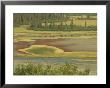 Underground Streams Emerge At The Salt Plains In The Park by Raymond Gehman Limited Edition Print
