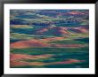 Palouse Region From Steptoe Butte, Whitman County, Washington, Usa by Brent Bergherm Limited Edition Print