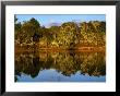 Forest Reflected In A Still Dam, Nyika National Park, Northern, Malawi by Ariadne Van Zandbergen Limited Edition Print