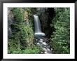 Waterfall And Lush Foliage, Mt. Rainier National Park, Washington, Usa by Gavriel Jecan Limited Edition Print