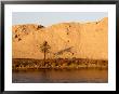 Palm Tree On The Bank Of The Nile River, Egypt by Michele Molinari Limited Edition Print