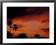 Palm Beach Sunset, Florida, Usa by Nik Wheeler Limited Edition Print