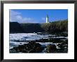 Lighthouse In Yaquina Head Natural Area, Usa by John Elk Iii Limited Edition Print