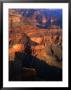 Canyon At Pima Point, Grand Canyon National Park, Usa by John Elk Iii Limited Edition Pricing Art Print
