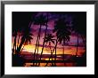 Palm Trees On Yanuca Island On The Coral Coast Silhouetted At Sunset, Fiji by Richard I'anson Limited Edition Pricing Art Print