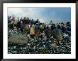 People Searching Through Rubbish In Manila's Smoky Mountain, Manila, Philippines by Oliver Strewe Limited Edition Print