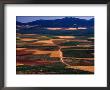 Plains Of La Mancha, Spain by Nicholas Pavloff Limited Edition Pricing Art Print