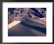 Hiker Walking On Ridge Of Eureka Sand Dunes, Death Valley National Park, Usa by Woods Wheatcroft Limited Edition Print