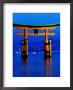 Floating Torii (Gate) At Night With City In Background, Miyajima, Japan by Frank Carter Limited Edition Print