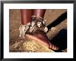 Dancer's Ankle Decorations, Zululand, South Africa by Ariadne Van Zandbergen Limited Edition Pricing Art Print