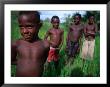 Group Of Boys From Kamindimbit Village, Middle Sepik, Papua New Guinea by Jerry Galea Limited Edition Print