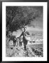 Man Sowing The Land He Has Been Lent By The Village With Wheat by George Rodger Limited Edition Pricing Art Print