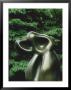 Human Lunar Spectral by Jean Arp Limited Edition Print