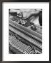 Workman Installing Some Of The Whippens, Shanks And Hammers At The Steinway Piano Factory by Margaret Bourke-White Limited Edition Pricing Art Print