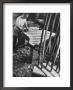 Bellyman Planing Wood Smooth On Soundboard For A New Grand Piano At The Steinway Piano Factory by Margaret Bourke-White Limited Edition Print