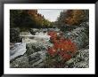 A Creek Rushes Past Autumn-Colored Trees by Raymond Gehman Limited Edition Print
