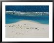 An Aerial View Of The Barrier Reef Off The Sandy Western Autralia Coast by Bill Ellzey Limited Edition Print