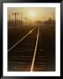 Morning Sun Shines On Railroad Tracks by Stephen St. John Limited Edition Pricing Art Print