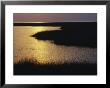 Twilight On A Marsh With Aquatic Grasses by Raymond Gehman Limited Edition Print