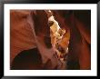 Patterns Created In The Red Sandstone Of Antelope Canyon by Dugald Bremner Limited Edition Print