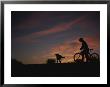Bicyclist And Pet Silhouetted Against A Sunset by Bobby Model Limited Edition Pricing Art Print