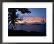 A Tropical Sunset by Heather Perry Limited Edition Print