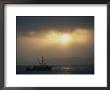A Fishing Boat Heads Out To Sea At Sunrise by Norbert Rosing Limited Edition Print