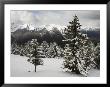 The Rocky Mountains Are Seen From Sulphur Mountain by Stephen Alvarez Limited Edition Print