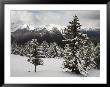 The Rocky Mountains Are Seen From Sulphur Mountain by Stephen Alvarez Limited Edition Pricing Art Print