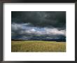 Dark Clouds Gather Over A Prairie In The National Bison Range by Annie Griffiths Belt Limited Edition Pricing Art Print