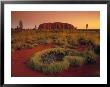 Ayers Rock, Northern Territory, Australia by Doug Pearson Limited Edition Pricing Art Print