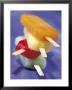 Frozen Juice Bars by Peter Ardito Limited Edition Print