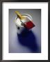 Paint Can And Brush With Red Paint by Michael Marzelli Limited Edition Pricing Art Print