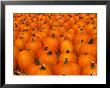 Pumpkins by David Davis Limited Edition Print