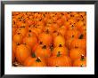 Pumpkins by David Davis Limited Edition Pricing Art Print