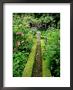 Herb Garden With Sundial by Mark Bolton Limited Edition Print