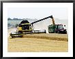 Yellow New Holland Combine Harvester Unloading Grain Into Trailer, Uk by Martin Page Limited Edition Pricing Art Print