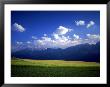 Field & Karwendel Mts, Aldrans, Tyrol, Austria by Walter Bibikow Limited Edition Print