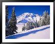 Mt. Rainier In Winter by Mark Windom Limited Edition Pricing Art Print