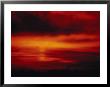 Sunrise, Wilmington, Nc by Ronald Lewis Limited Edition Print
