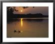 Silhouetted Canadian Geese by Allen Russell Limited Edition Print