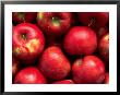Red Rome Beauty Apples by Inga Spence Limited Edition Print