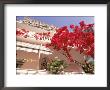 Red Flowers, Clothesline, Epirus, Greece by Walter Bibikow Limited Edition Print