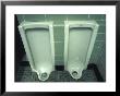 Bathrooms (Decorative Art) by Fogstock Llc Limited Edition Pricing Art Print