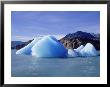 Iceberg, Lake Argentino, El Calafate, Argentina by Frank Perkins Limited Edition Print