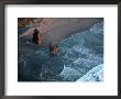 Aerial Of Beach With Rocks On South Oregon Coast by Payne Anderson Limited Edition Print