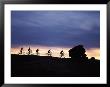 Mountain Biking Slickrock Trail, Utah by Allen Russell Limited Edition Pricing Art Print