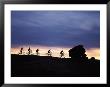 Mountain Biking Slickrock Trail, Utah by Allen Russell Limited Edition Print